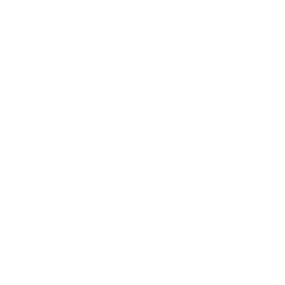 hnks.pages.dev favicon
